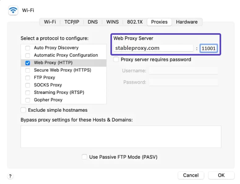 How to set up a proxy server on macOS devices