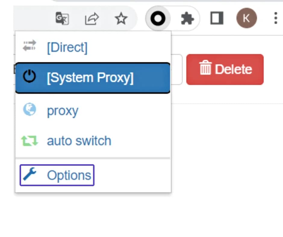 Integracja proxy z SwitchyOmega